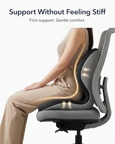 Structured Back Support Cushion