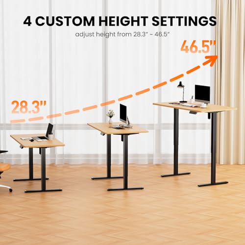 Electric Standing Desk Frame
