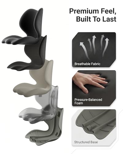 Structured Back Support Cushion
