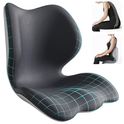 Structured Back Support Cushion