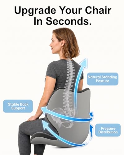 Structured Back Support Cushion