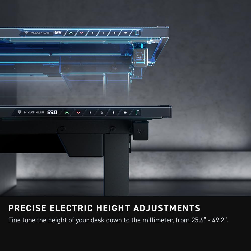 Cable-Managed Electric Standing Desk