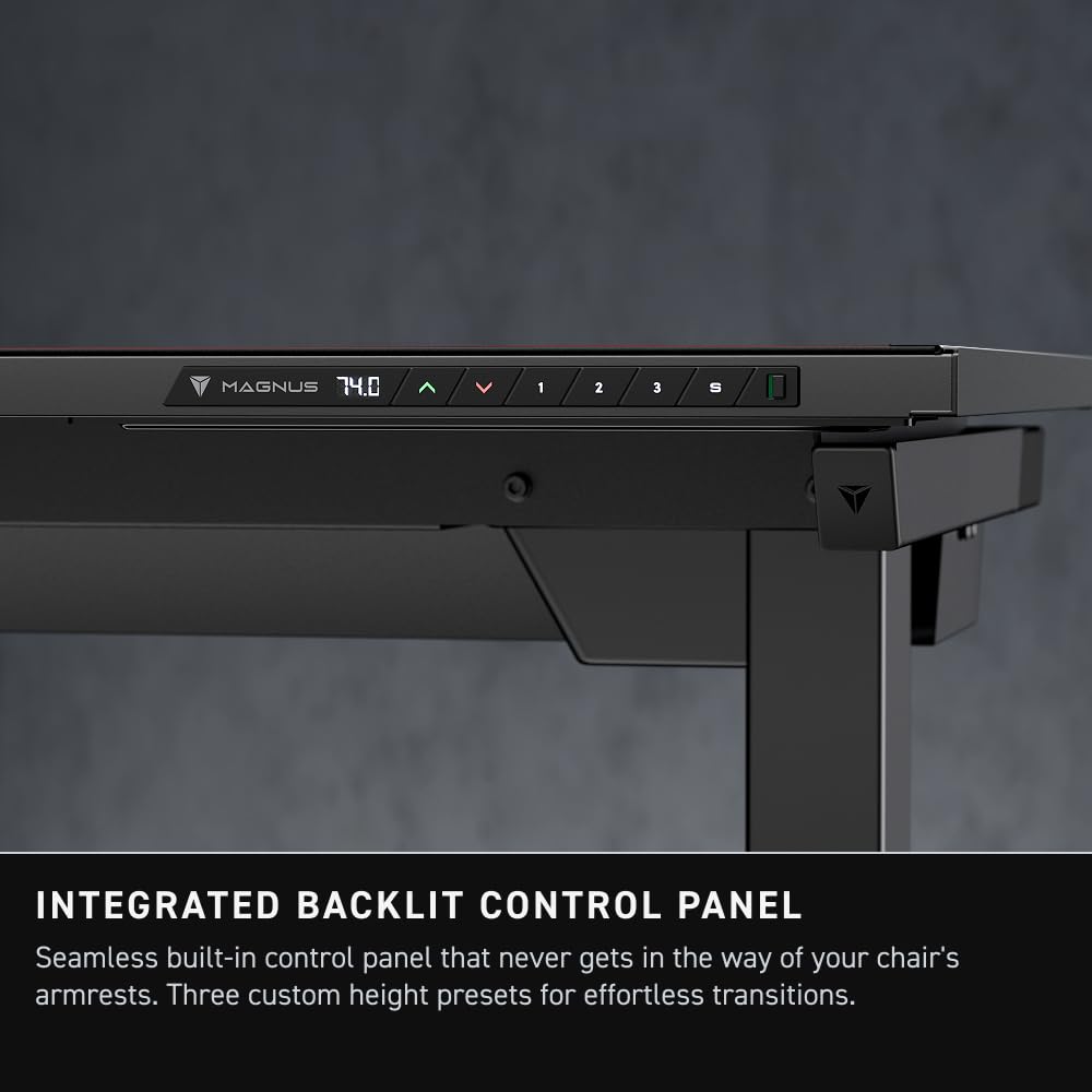Cable-Managed Electric Standing Desk