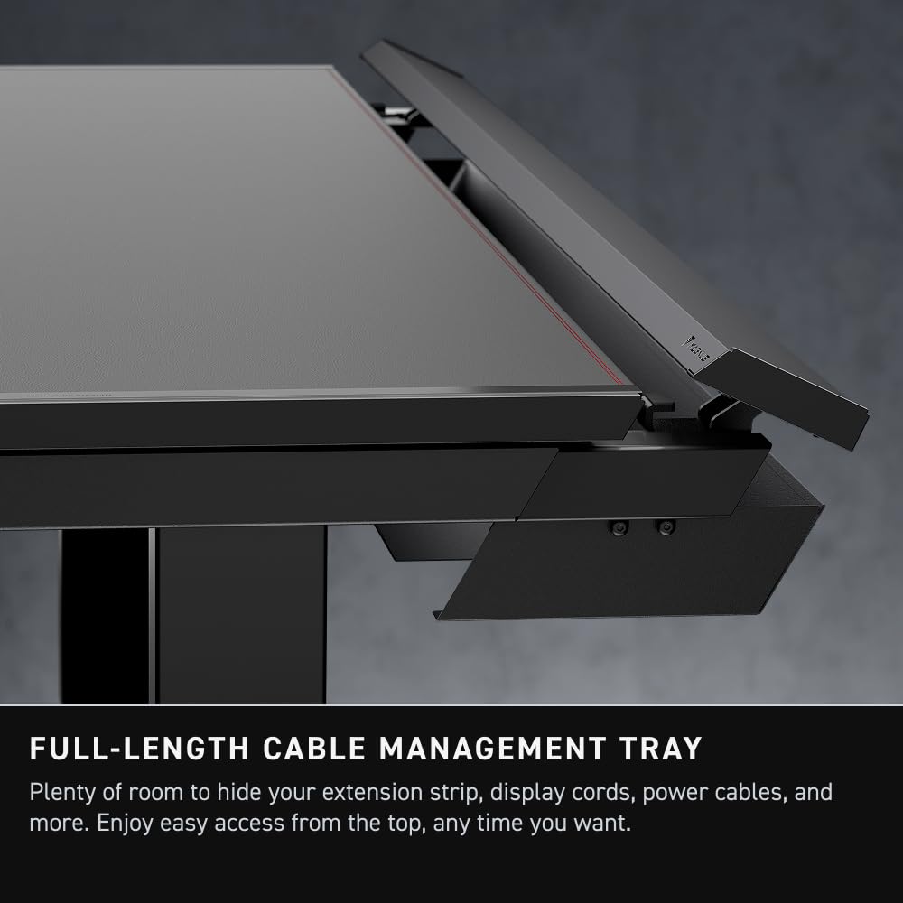 Cable-Managed Electric Standing Desk