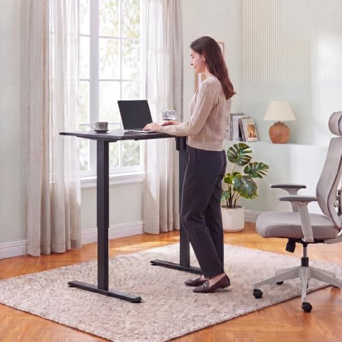 Electric Standing Desk Frame