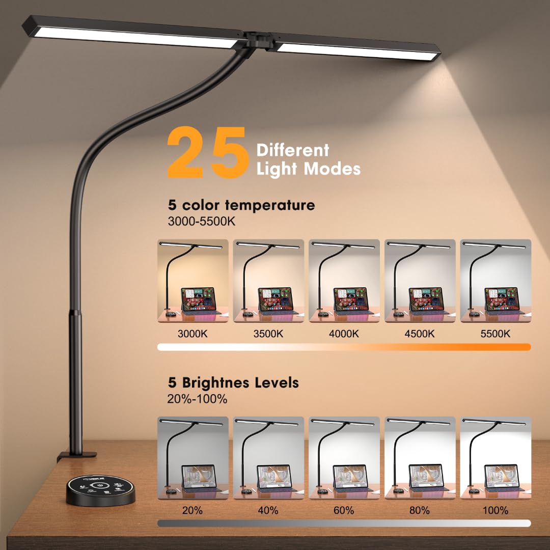Dual-Head Clamp Desk Lamp
