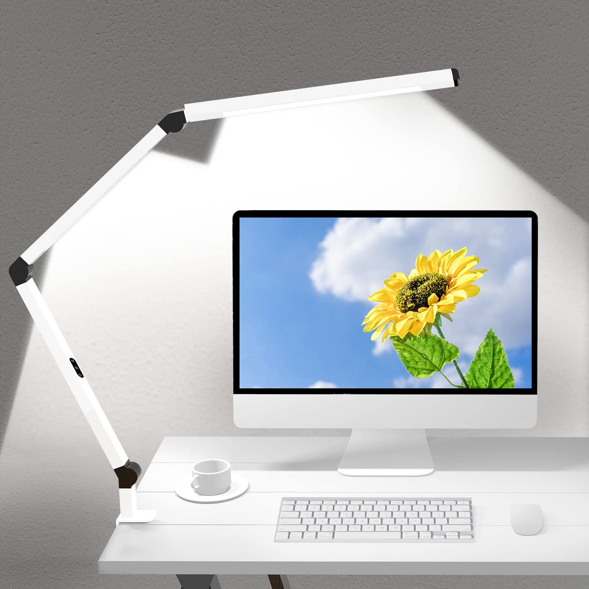 Dual-Source Clamp Desk Lamp