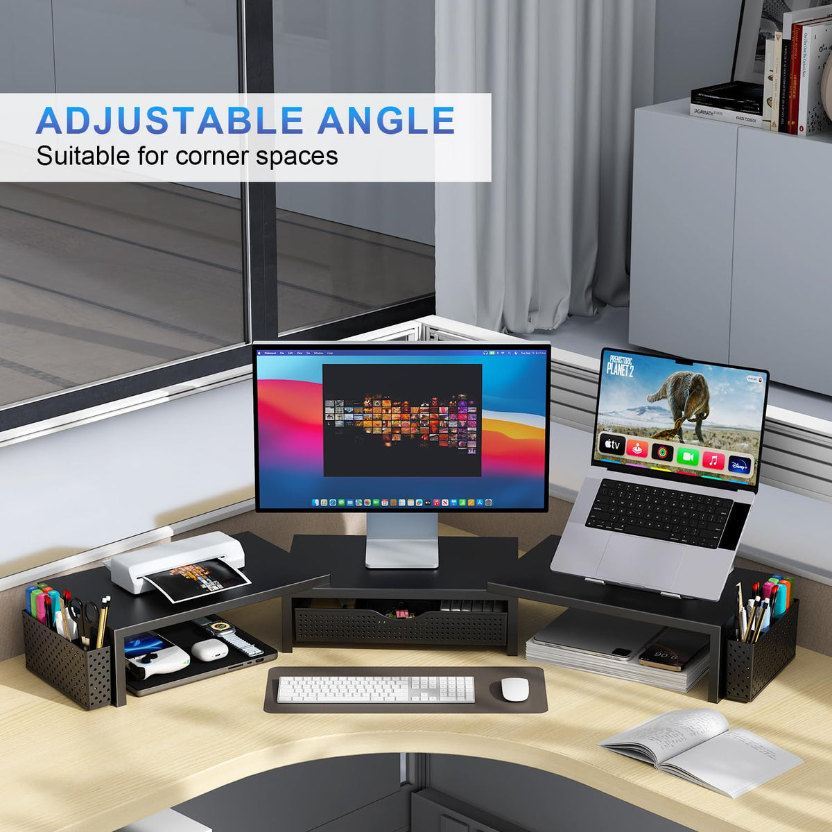 Dual Monitor Riser with Storage