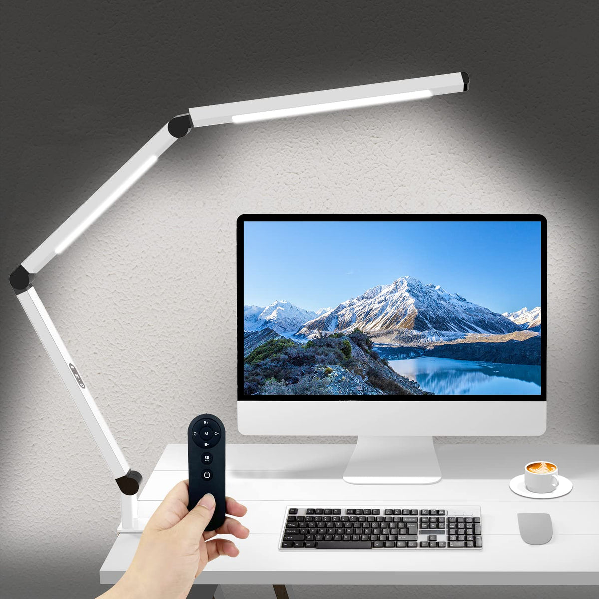 Dual-Source Clamp Desk Lamp
