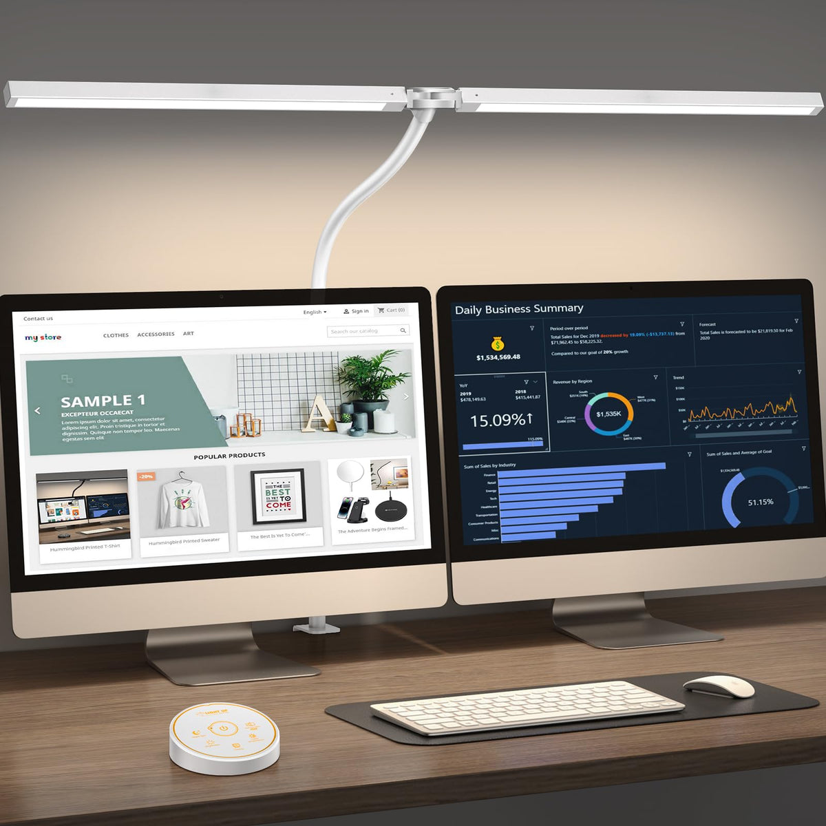 Dual-Head Clamp Desk Lamp