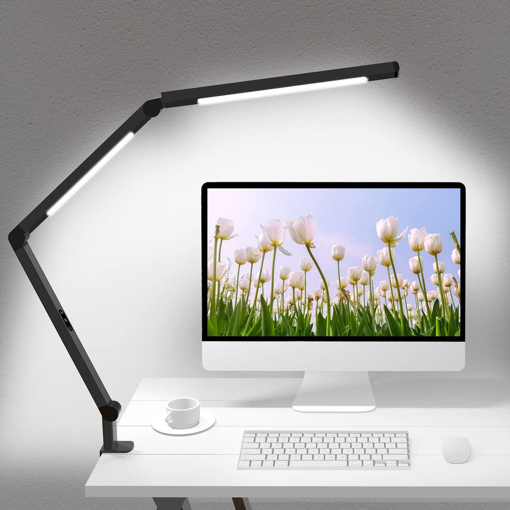 Dual-Source Clamp Desk Lamp