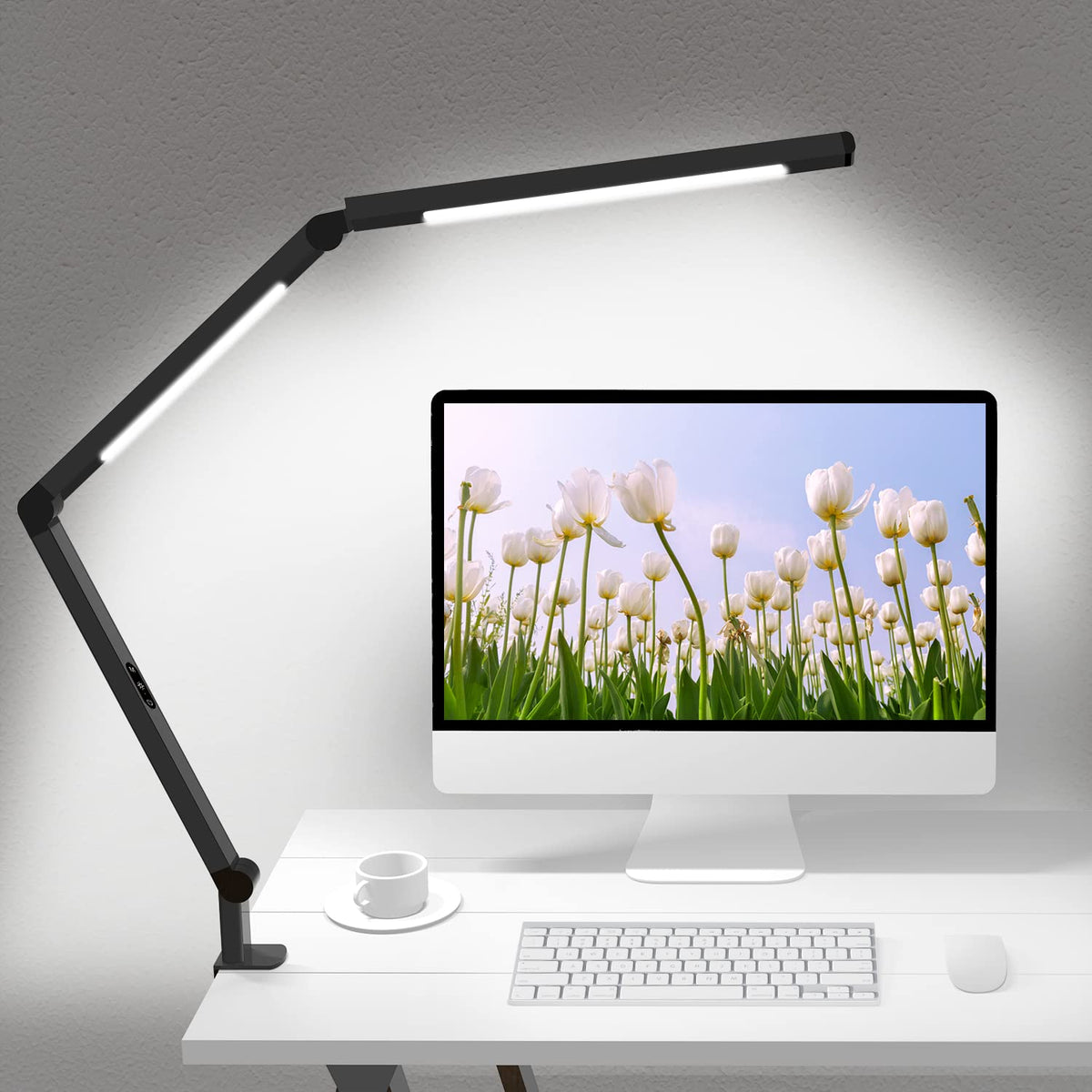 Dual-Source Clamp Desk Lamp
