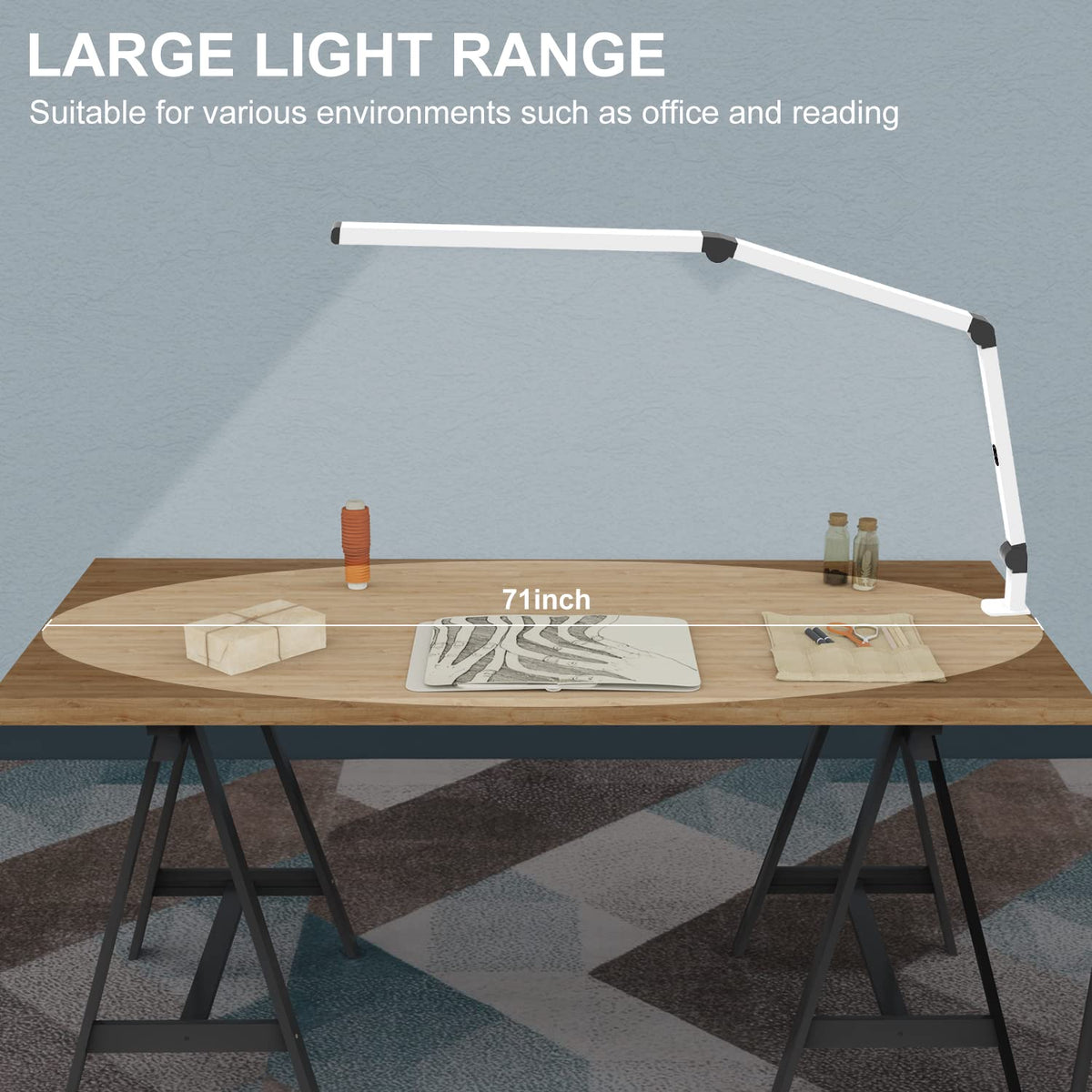Dual-Source Clamp Desk Lamp