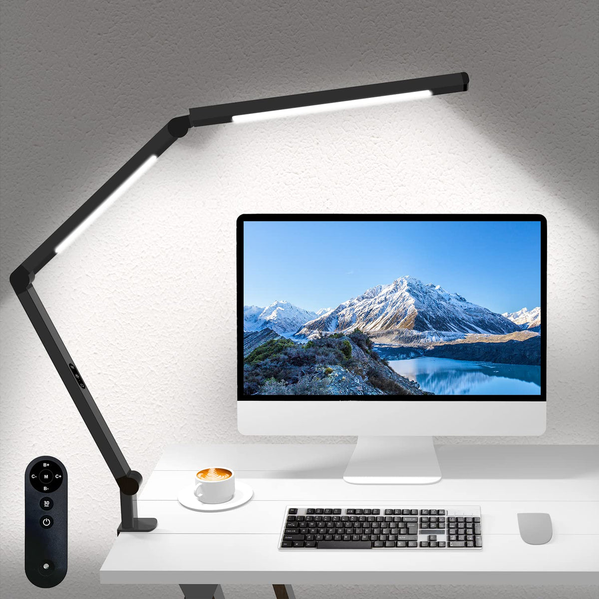 Dual-Source Clamp Desk Lamp