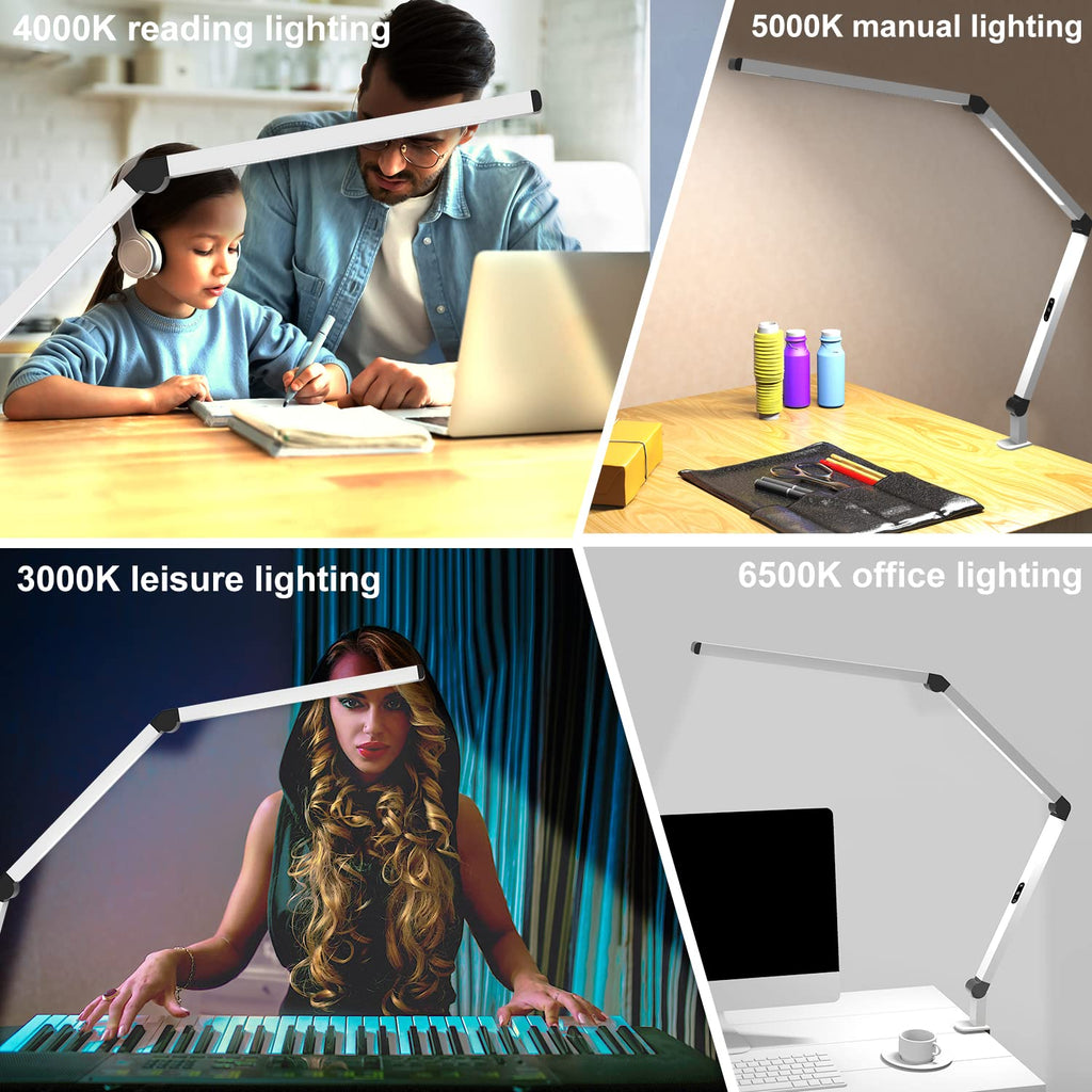 Dual-Source Clamp Desk Lamp