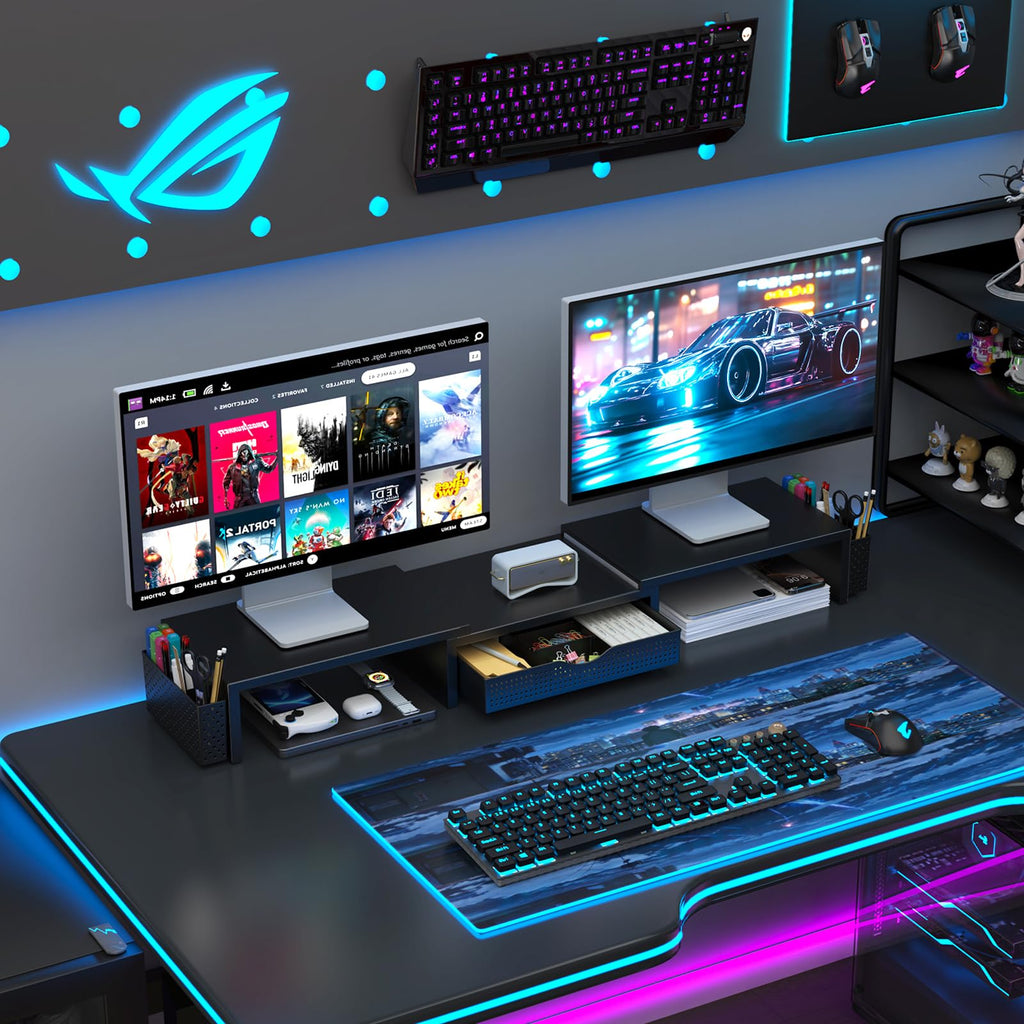 Dual Monitor Riser with Storage