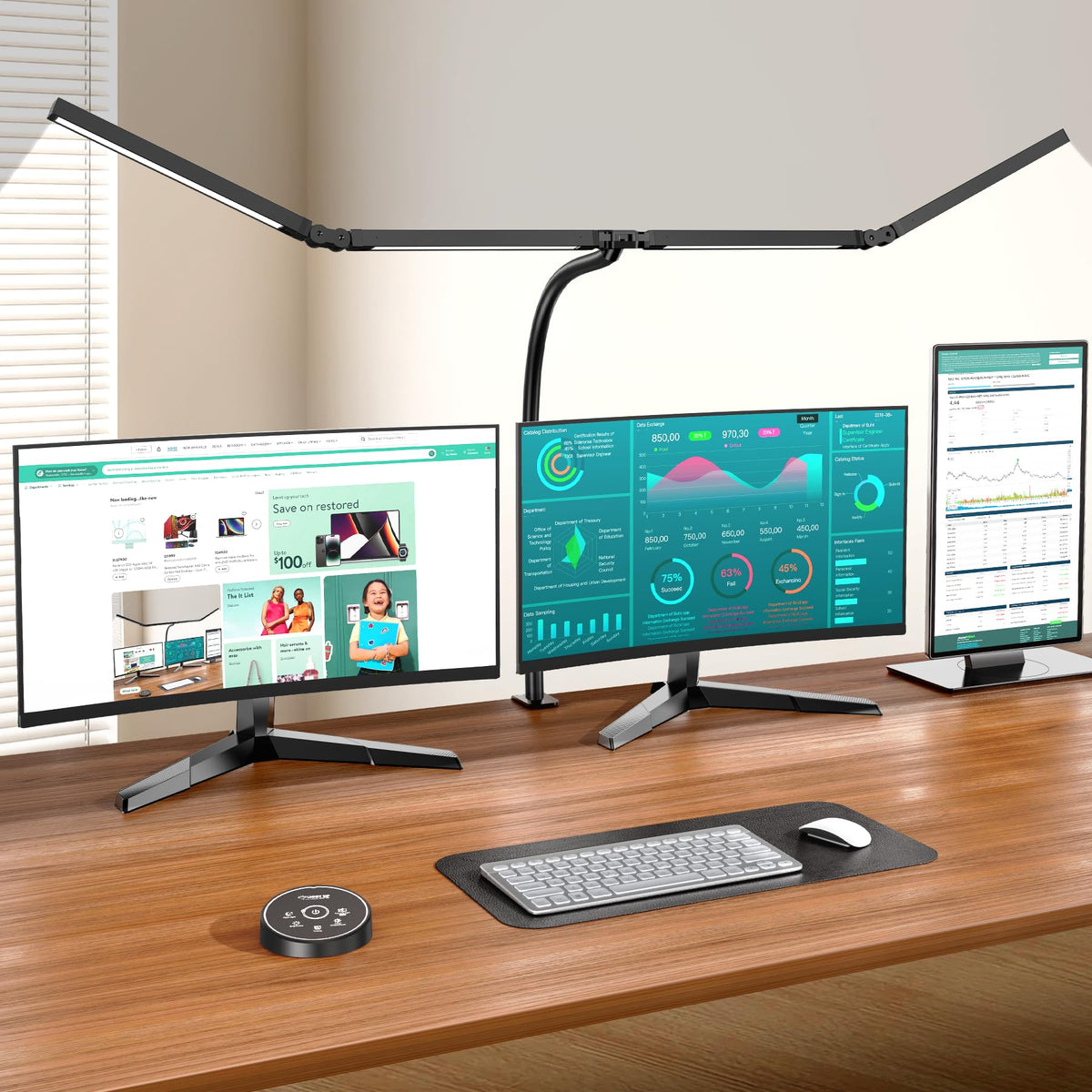Dual-Head Clamp Desk Lamp