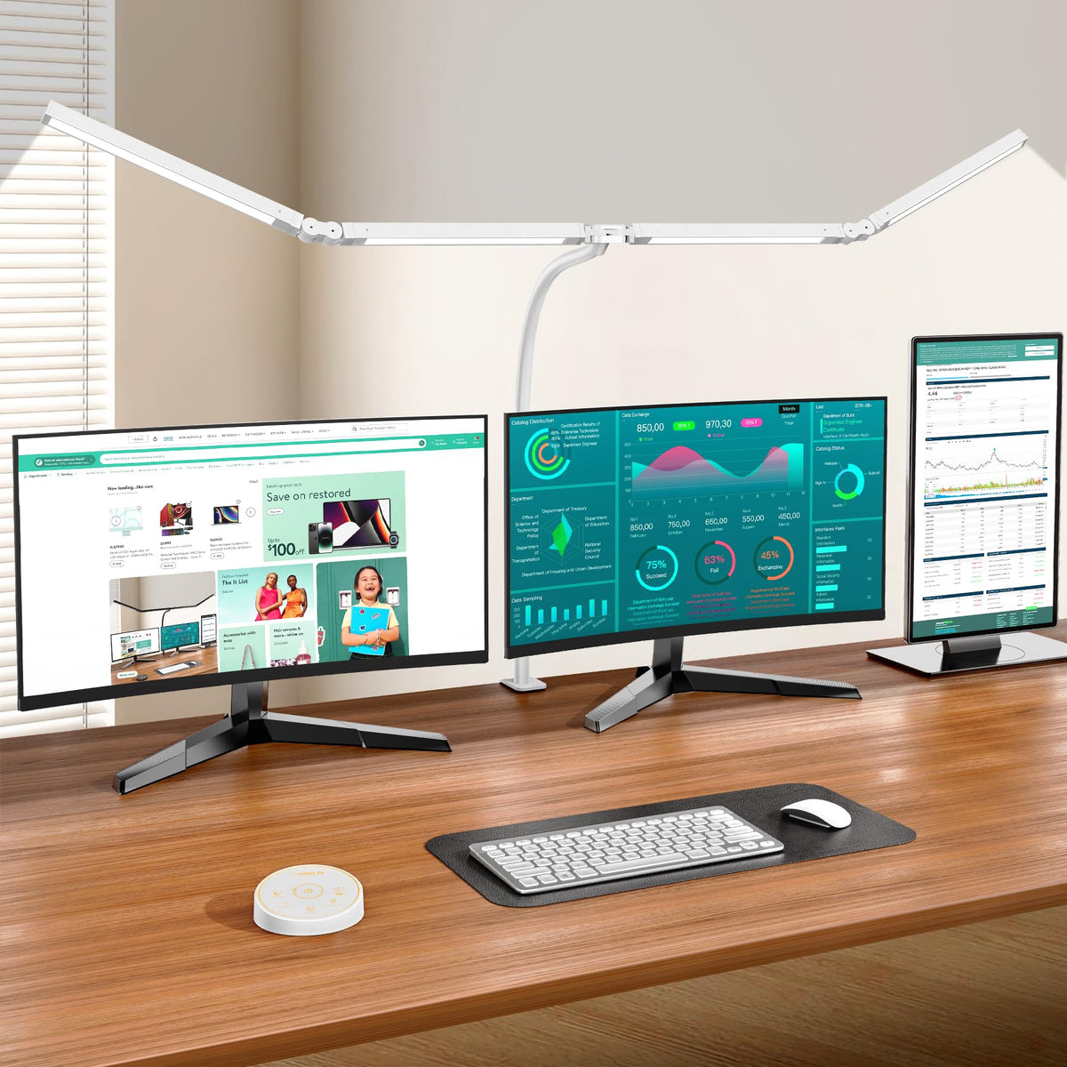 Dual-Head Clamp Desk Lamp