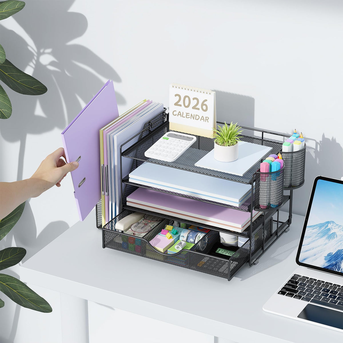 Desktop File Organizer